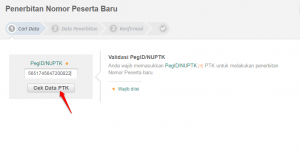 CEK DATA PTK