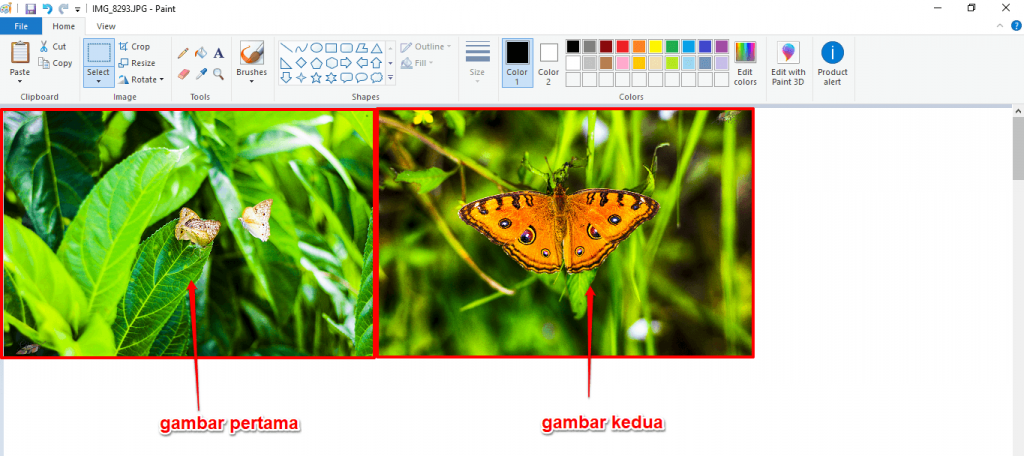 gamabr-diletakan-sejajar