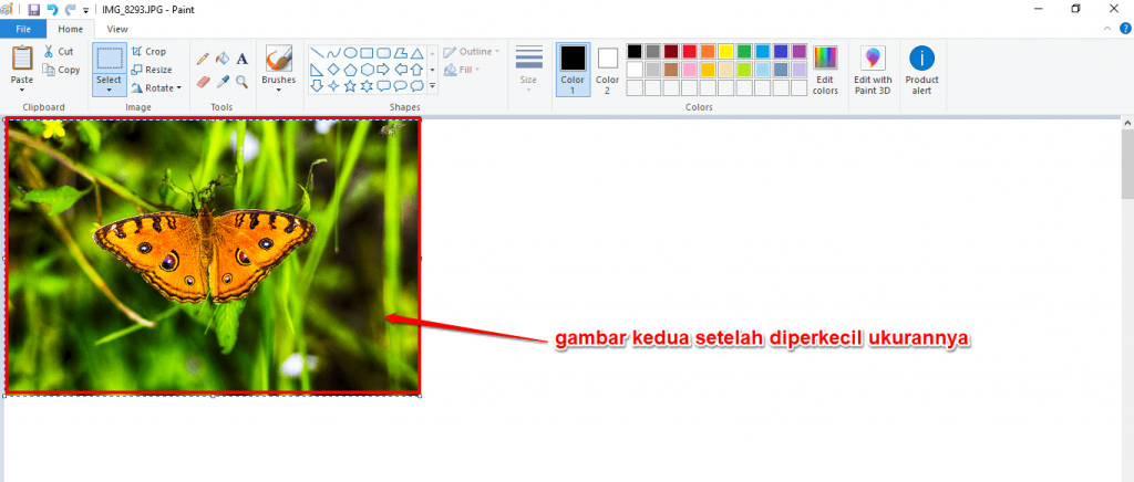 gambar-kedua